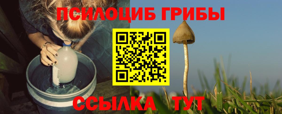 Псилоцибиновые грибы GOLDEN TEACHER Верхний Уфалей