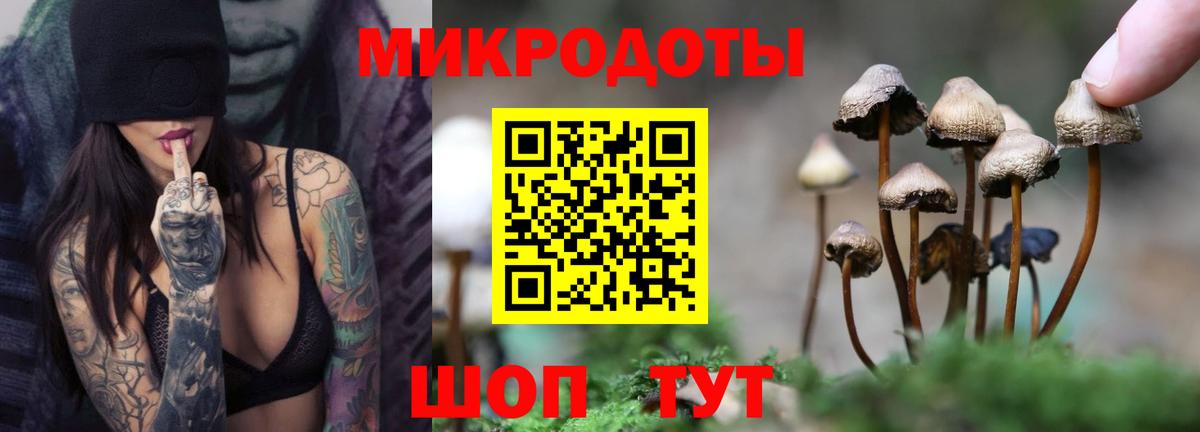Галлюциногенные грибы Cubensis  как найти закладки  Верхний Уфалей  Псилоцибиновые грибы ЛСД  Вход с VPN 